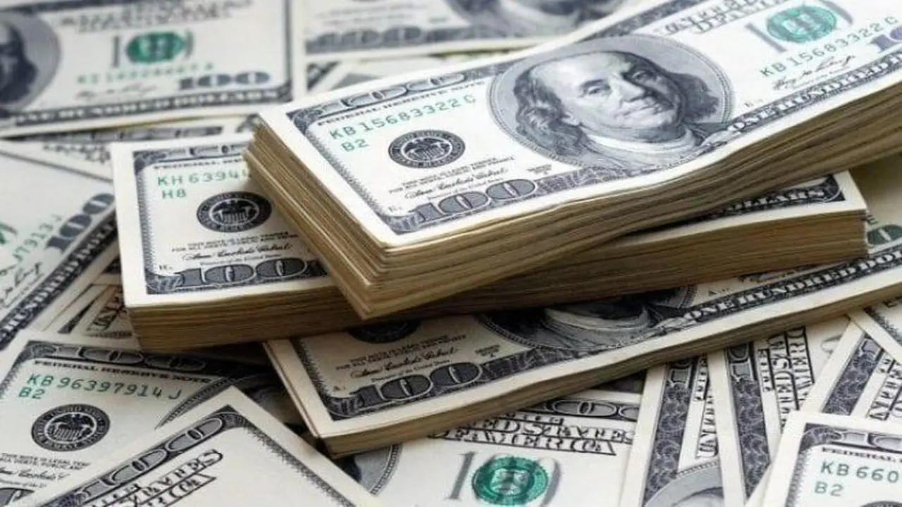 تحديثات الصرف.. سعر الدولار أمام الجنيه المصري في تعاملات الأحد 25 يناير 2026